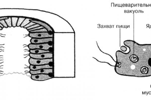 Что продают на кракене